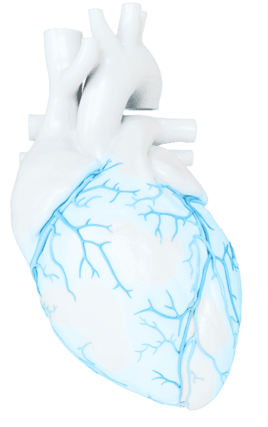 Картинка Интервенционная кардиология